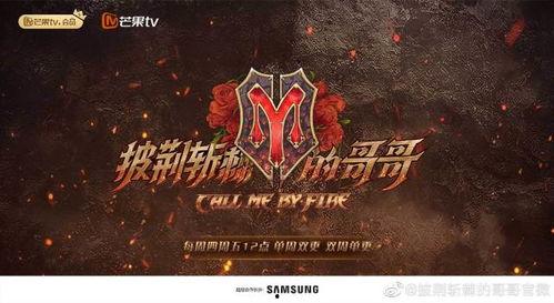 披荆斩棘最新爆料,揭秘幕后故事与精彩瞬间!